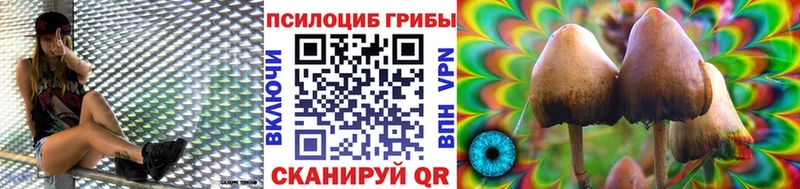 купить наркоту  Сафоново  Псилоцибиновые грибы Psilocybe 