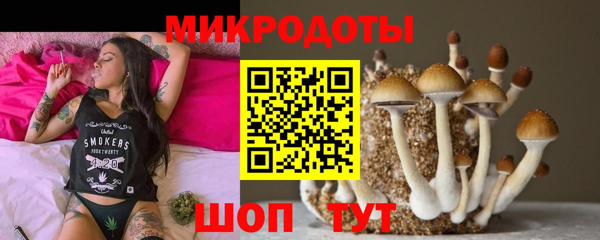 Псилоцибиновые грибы GOLDEN TEACHER Сафоново